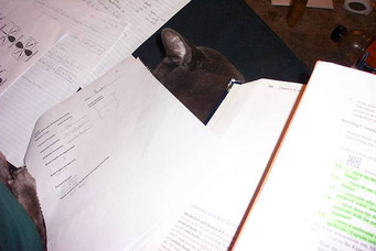 Image of studying